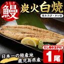 【ふるさと納税】鹿児島県産うなぎの炭火白焼(1尾・生わさびとタレ付)と自慢の出汁巻き卵1本付！ 国産 九州産 鰻 ウナギ うな重 うな丼 白焼き 卵焼き 出汁巻き 出汁巻きたまご おかず 特産品 お土産 セット冷凍【家むら】