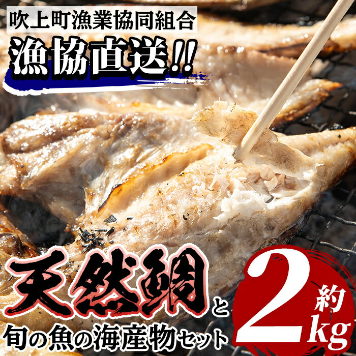 【ふるさと納税】海産物セット 天