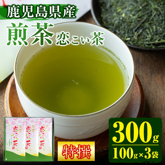 [鹿児島県産]特撰煎茶(100g×3袋セット 計300g) 国産 九州産 お茶 緑茶 煎茶 茶葉 日本茶 [末永(清)製茶]