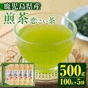 17位! 口コミ数「0件」評価「0」＜鹿児島県産＞煎茶(100g×5袋セット 計500g) 国産 九州産 お茶 緑茶 煎茶 茶葉 日本茶 水出し【末永(清)製茶】