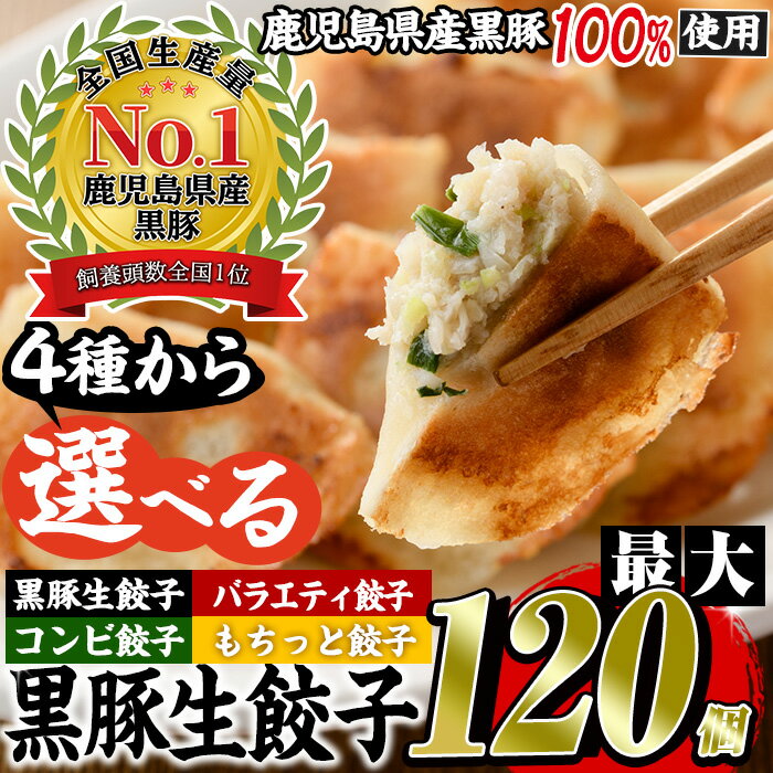 9位! 口コミ数「154件」評価「4.38」＜発送時期が選べる＞選べる4種！鹿児島黒豚使用の黒豚餃子(黒豚生餃子計96個/バラエティ餃子計96個/黒豚もちっと餃子計120個/黒豚コンビ･･･ 