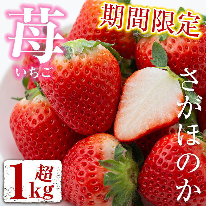 [発送時期が選べる]鹿児島県産さがほのか(270g×4個・計1.08kg)※時期によりさつまおとめ又はぴかいちごに変更になる可能性があります。国産 九州産 イチゴ 苺 いちご フルーツ[仲村雅農園]