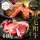 【ふるさと納税】鹿児島県産黒毛和牛ヒレステーキ2種盛り(計440g・220g×2P) 国産 九州産 牛肉 黒毛和牛 和牛 国産牛ヒレ ステーキ 冷凍 お中元 熨...