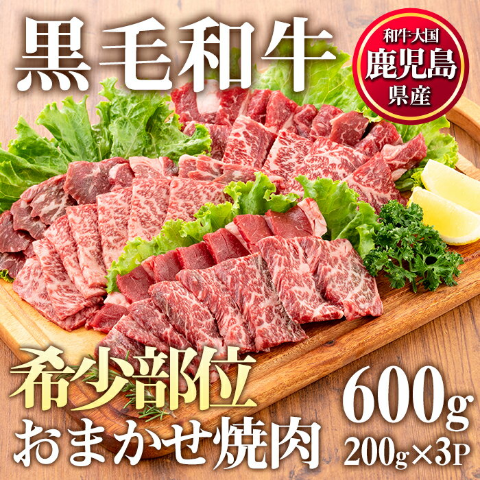 【ふるさと納税】鹿児島県産黒毛和牛希少部位おまかせ焼肉(計6