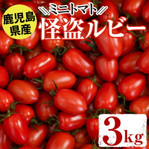 【ふるさと納税】＜先行予約受付中！2022年12月上旬～2023年6月15日の間に発送予定＞ミニトマト「怪盗ルビー」(3kg)国産 九州産 とまと 野菜 ハウストマト 高品質 産地直送【アグリシア】