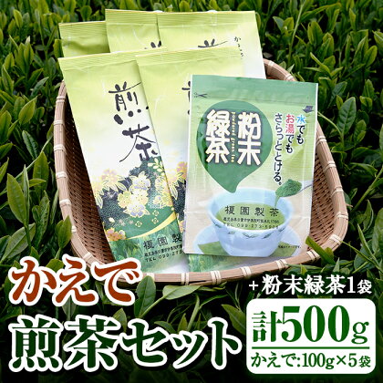 鹿児島県産の煎茶セット「かえで」かえで(100g×5袋)と粉末緑茶(1袋)【世献 榎園製茶】