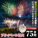 16位! 口コミ数「0件」評価「0」《数量限定》プライベート花火(計75発・レプリカ玉進呈)打揚場所・日時は応相談！【太洋花火】