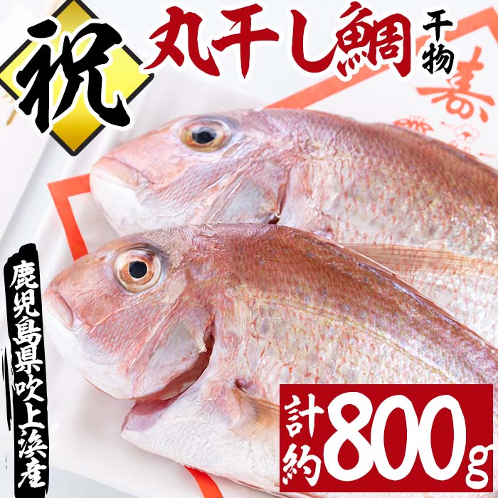 お祝い鯛丸干し(2尾・計約800g)タイ 鯛 たい 魚貝類 魚 海産物 セット 冷凍[吹上町漁協]