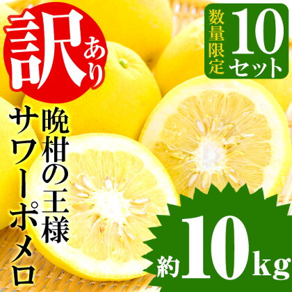 ＜訳あり・傷あり＞柑橘類のサワーポメロ(10kg・L～3L：10個～20個) 鹿児島 日置市 数量限定 フルーツ 果物 酸味 みかん ミカン 蜜柑 柑橘【つとむじぃグレープの森】