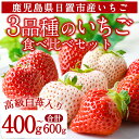 【ふるさと納税】3品種いちごの食べ比べセット(約400g～6