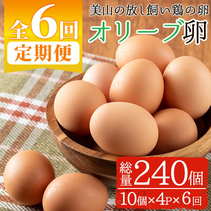 【ふるさと納税】<定期便・全6回(連続)>鹿児島県産美山オリーブ卵(10個×4P×6ヶ月連続) 国産 九州産 たまご 卵 鶏卵 定期便 頒布会【美山たまご王国】