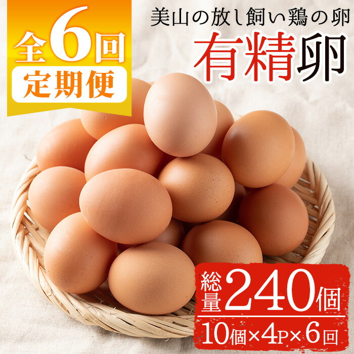 2位! 口コミ数「0件」評価「0」＜定期便・全6回(連続)＞鹿児島県産有精卵(10個×4P×6ヶ月連続) 国産 九州産 たまご 有精卵 卵 鶏卵 定期便 頒布会【美山たまご王･･･ 