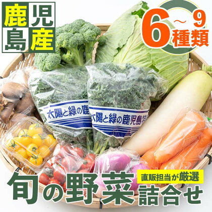 旬の野菜の詰め合わせ(6～9種類)国産 九州産 野菜 旬 果物 春 春野菜【さつま日置農協】