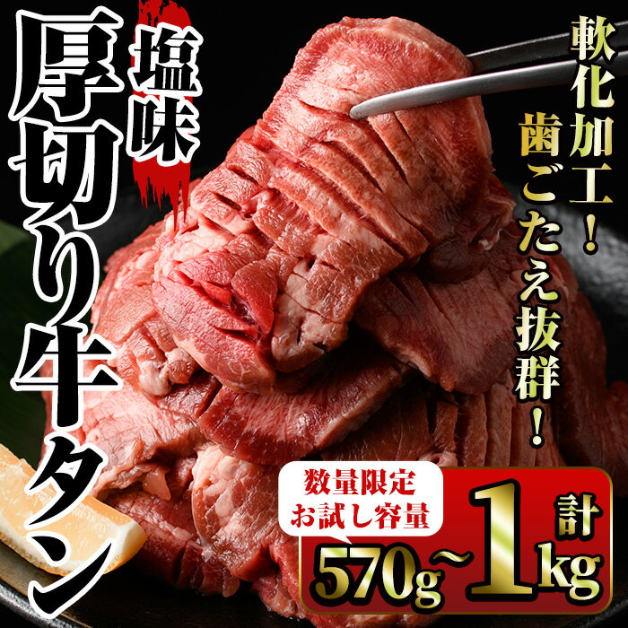【ふるさと納税】塩味厚切り牛タン(計570g・300g,27