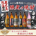 鹿児島県日置市の画像2