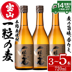【ふるさと納税】<本数選べる>一粒の麦(720ml×3~5本) 焼酎 麦焼酎 酒 アルコール 麦 家飲み 宅飲み 大麦 大麦麹 セット 常温 常温保存【西酒造】