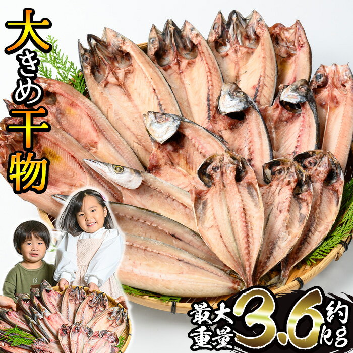 【ふるさと納税】＜選べる重量＞大きめ干物詰合せ＜合計約2kg～3.6kg！＞ 干物 セット 詰め合わせ ひもの 魚介類 魚 おかず おつまみ お楽しみ 【みのだ食品】