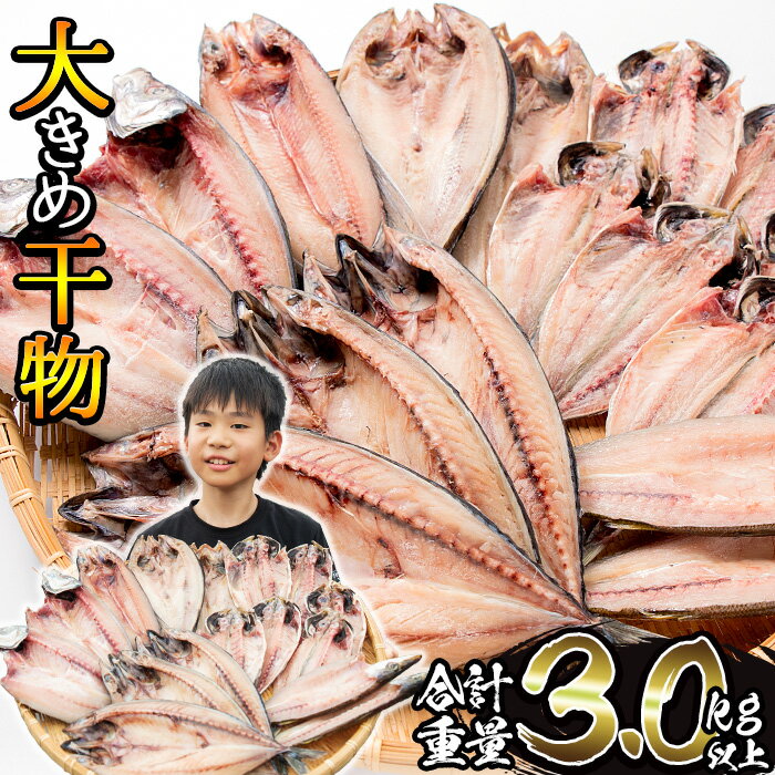 豊富な魚介類！味に満足、量に納得♪商標登録済み！大満足の3kg以上！ ...