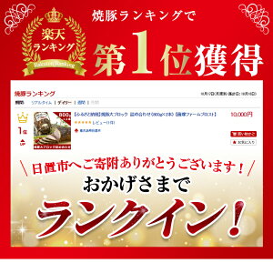 【ふるさと納税】鹿児島県産の焼豚大ブロック＜計1kg(約500g×2本)/定期便・合計3kg(約500g×2本×3回)＞国産 九州産 焼豚 叉焼 チャーシュー ラーメン 具材 お中元 お歳暮 ギフト 贈答 詰め合わせ 豚肉 タレ おかず おつまみ 頒布会 人気【薩摩ファームブロスト】