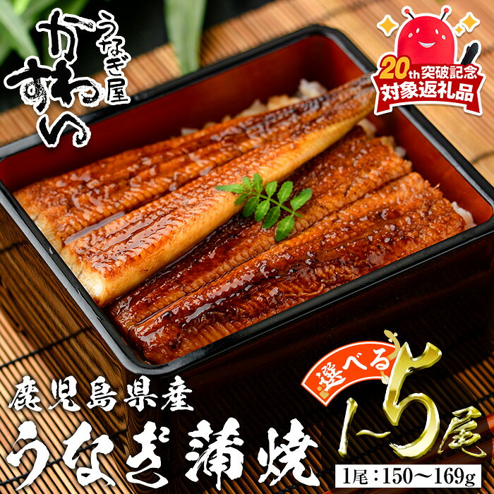 [内容量が選べる][うなぎ屋かわすい]鹿児島県産 国産うなぎ蒲焼 (1本あたり150〜169g×1〜5本) タレ入り 鰻 ウナギ うなぎ うな重 鹿児島県産 冷凍 かわすい [川口水産]