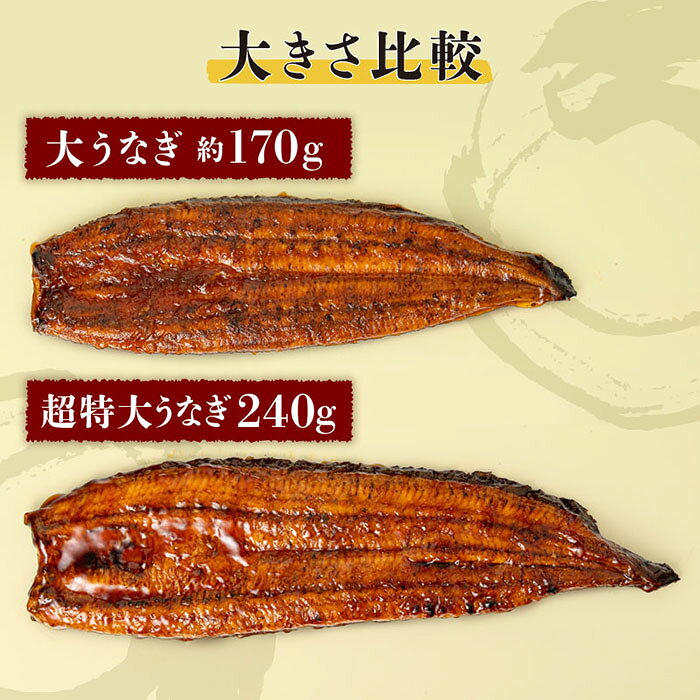 【ふるさと納税】＜内容量が選べる＞鹿児島産超特大うなぎ蒲焼(無頭) (計240～960g以上・240g以上×1〜4尾) 鰻 ウナギ 蒲焼き 養殖 たれ付 真空パック 湯煎 レンジ 簡単調理 国産 曽於市 鹿児島県【株式会社財宝】 f462179-soo-10001467 鹿児島県曽於市 サンプル画像2