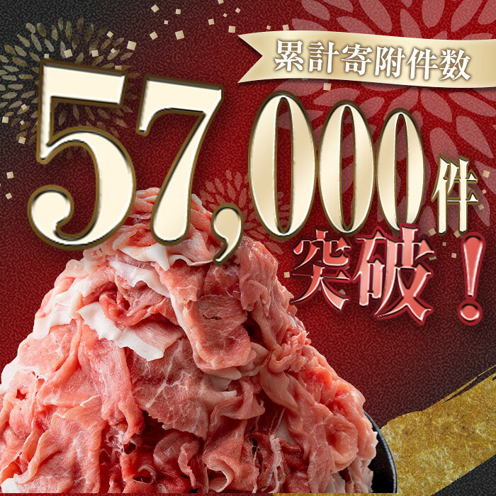 ふるさと納税 楽天限定寄附額！ 豚肉 切り落とし 選べる内容量・銘柄 豚肉切り落とし(合計3.0〜4.0kg f462179-soo-10000616 鹿児島県曽於市 サンプル画像3