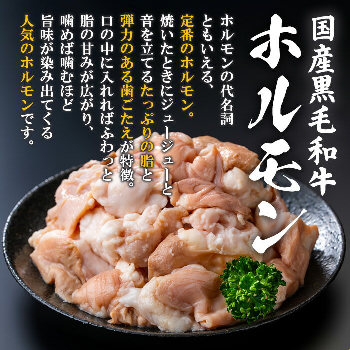 【ふるさと納税】国産黒毛和牛ホルモン(計1.2kg・200g×6P or 400g×3P)&醤油タレ(濃縮タイプ：30g×1P) &ゆず胡椒：1個 牛肉 BBQ 鍋 夕食 キャンプ 小分け もつ鍋 ホルモン【ナンチク】