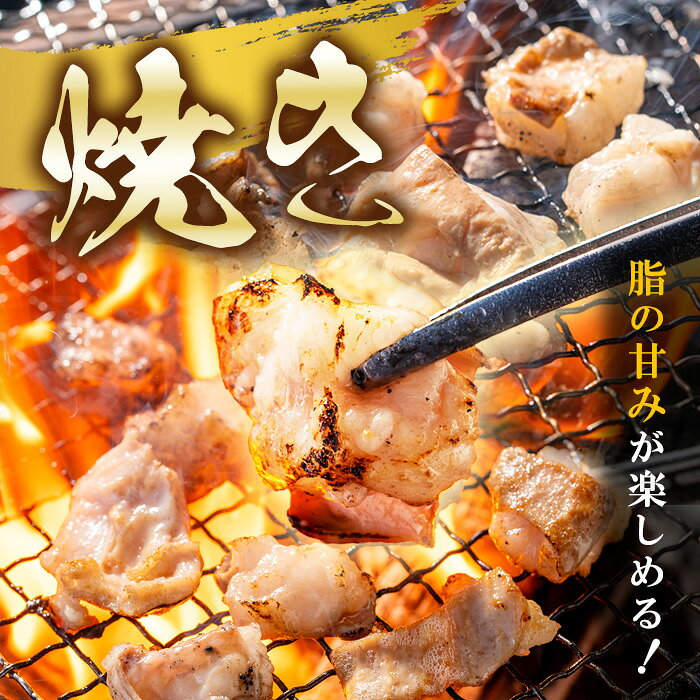 【ふるさと納税】国産黒毛和牛ホルモン(計800g・400g×2P or 200g×4P)&ゆず胡椒：1個 牛肉 BBQ 鍋 夕食 キャンプ 小分け 焼肉 もつ鍋 ホルモン【ナンチク】 f462179-soo-10001455 鹿児島県曽於市 サンプル画像3