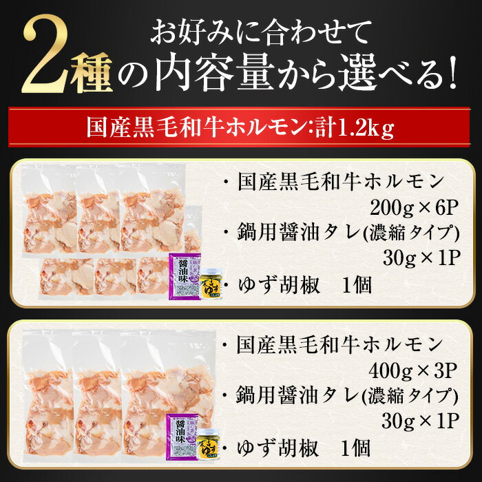 【ふるさと納税】国産黒毛和牛ホルモン(計1.2kg・200g×6P or 400g×3P)&醤油タレ(濃縮タイプ：30g×1P) &ゆず胡椒：1個 牛肉 BBQ 鍋 夕食 キャンプ 小分け もつ鍋 ホルモン【ナンチク】