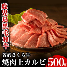 【ふるさと納税】曽於さくら牛焼肉ギフト(上カルビ500g) 鹿児島県産 国産 黒毛和牛 和牛 牛肉 牛 肉 上カルビ 焼肉 焼き肉 冷凍 ギフト 贈り物 プレゼント【福永産業】