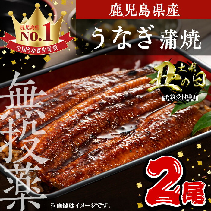 【ふるさと納税】<丑の日先行予約受付中!>鹿児島県産うなぎ蒲焼 (1尾あたり136g〜155g×2尾、タレ・山椒付き) 鰻 ウナギ うな重 ひつまぶし かばやき 九州産 国産 冷凍 【西日本養鰻】
