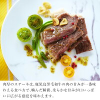 【ふるさと納税】日本一の牛肉!鹿児島県産黒毛和牛ロースステーキ2枚♪計400g【ナンチク】
