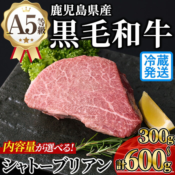 ＜内容量が選べる！＞新鮮チルド 希少部位・鹿児島県産A5黒毛和牛“極厚”シャトーブリアン (計300〜600g・300g×1~2枚) 牛肉 鹿児島県産 黒毛 和牛 極厚 冷蔵 チルド シャトーブリアン 希少部位 ヒレ【KNOT】