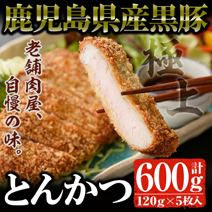 鹿児島県産 黒豚ロースとんかつセット(120g×5枚・計600g) 国産 鹿児島県産 黒豚 豚肉 ロース肉 お肉 とんかつ トンカツ セット 冷凍