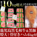 【ふるさと納税】和牛日本一!鹿児島産黒毛和牛・鹿児島黒豚・骨...