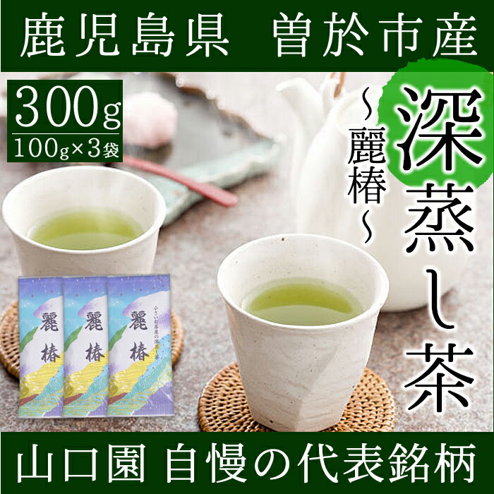 鹿児島県曽於市産 小さいお茶屋の深蒸し茶〜麗椿〜(茶葉100g×3本・合計300g) 国産 鹿児島県産 緑茶 お茶 加工品 一番茶 茶葉 深蒸し茶 ギフト 贈答【お茶の山口園】