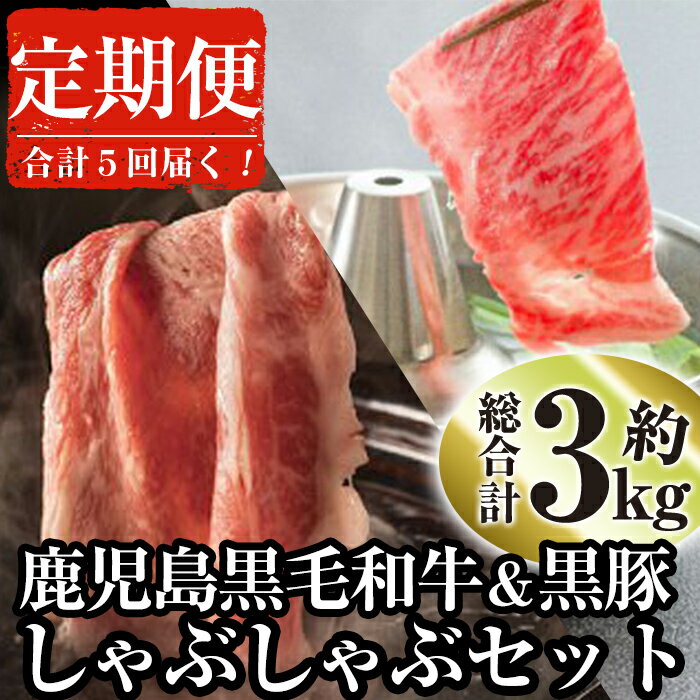 楽天鹿児島県曽於市【ふるさと納税】＜定期便・全5回＞鹿児島県産黒毛和牛と黒豚のしゃぶしゃぶセット（各300g×2×5回・計3kg） 黒毛和牛 和牛 牛肉 牛 黒豚 豚肉 豚 肉 鹿児島県産 国産 しゃぶしゃぶ 肩ロース タレ付き たれ付き セット 冷凍 定期便【ナンチク】