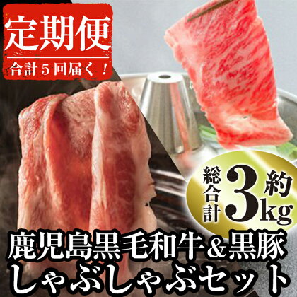 ＜定期便・全5回＞鹿児島県産黒毛和牛と黒豚のしゃぶしゃぶセット(各300g×2×5回・計3kg) 黒毛和牛 和牛 牛肉 牛 黒豚 豚肉 豚 肉 鹿児島県産 国産 しゃぶしゃぶ 肩ロース タレ付き たれ付き セット 冷凍 定期便【ナンチク】