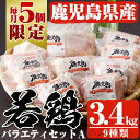 【ふるさと納税】【数量限定】鹿児島県産の鶏肉9種類 合計3....