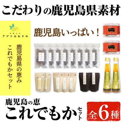 鹿児島の恵、これでもかセット 蜜ほしいもや黒豚味噌、しょうがココアなど計6種!【アグリおおすみ】