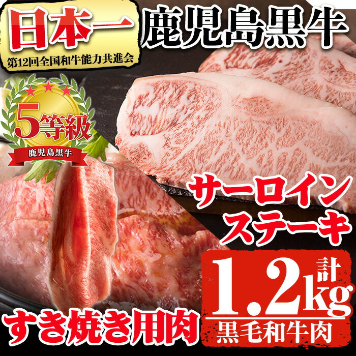 鹿児島県産黒毛和牛肉!5等級!鹿児島黒牛サーロインステーキ(200g×3枚)・すき焼き(600g)セット計1.2kg!(S-1801)31-D-23 鹿児島県産 黒毛和牛 和牛 牛肉 肉 サーロイン リブロース 肩ロース ステーキ すき焼き セット 冷凍[そお鹿児島農業協同組合]