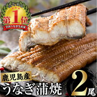 【ふるさと納税】鹿児島県産うなぎ蒲焼 Aセット 計280g (約140g×2尾) タレ・山椒付き 急速冷凍で焼きたての風味のままお届け！【西日本養鰻】