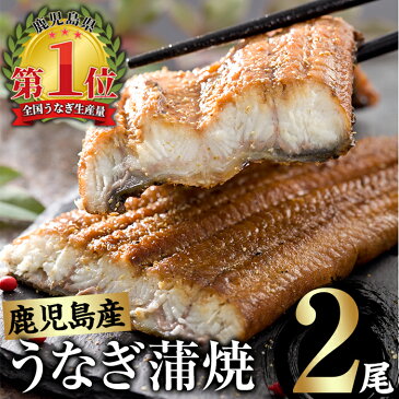 【ふるさと納税】鹿児島県産うなぎ蒲焼 Aセット 計280g (約140g×2尾) タレ・山椒付き 急速冷凍で焼きたての風味のままお届け！【西日本養鰻】