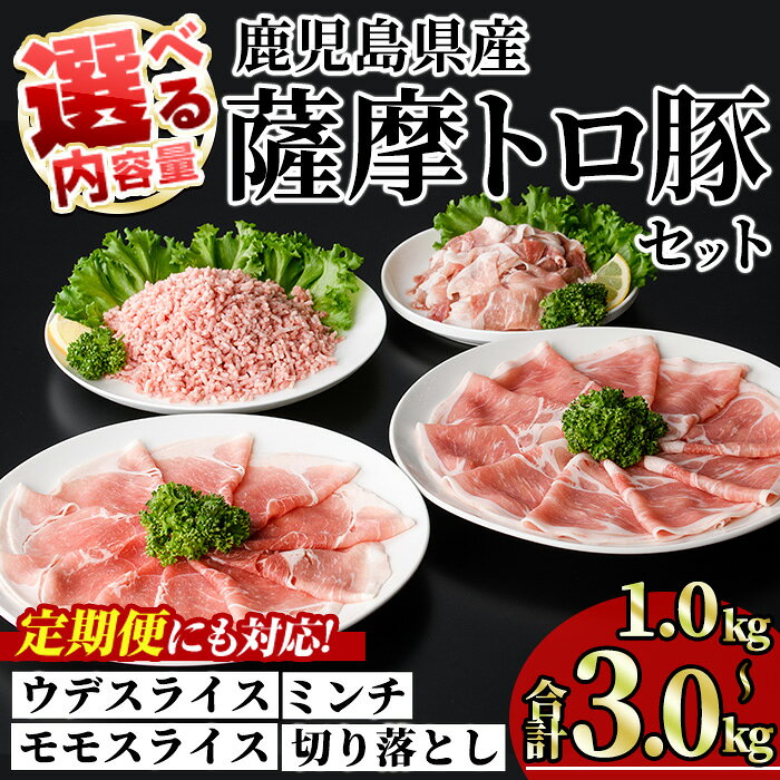 [内容量・回数が選べる!]鹿児島県産薩摩トロ豚モリモリおためしパック(合計1kg〜3kg / 定期便 全3・6・12回 計3kg〜12kg) 国産 鹿児島県産 豚 豚肉 小分け 冷凍 スライス 4種 セット 食べ比べ ひき肉 ミンチ モモ ウデ 切り落とし 定期便[KNOT]