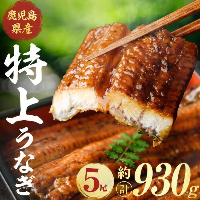 【ふるさと納税】鹿児島県産 うなぎ 蒲焼 (計約930g / 約186g × 5尾 ) 鰻 ウナギ うなぎ うな重 蒲焼 かばやき 国産 冷凍 【株式会社薩摩川内鰻】