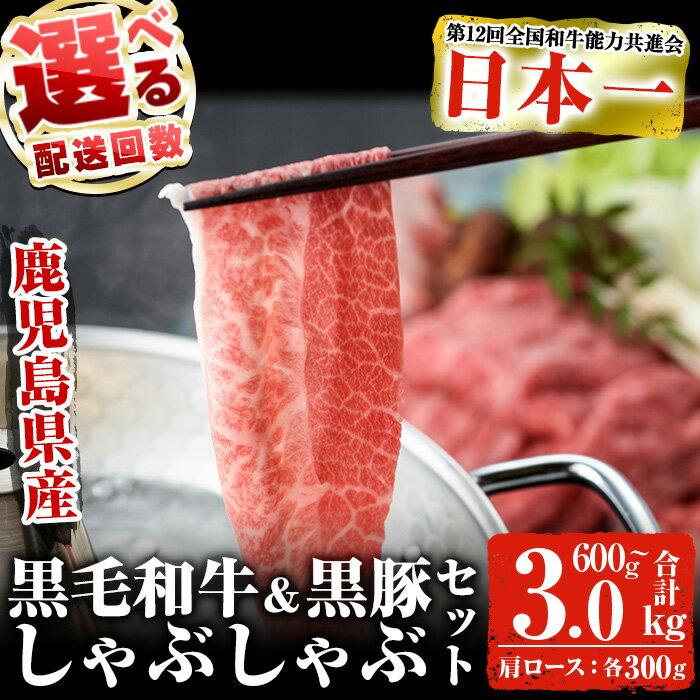 【ふるさと納税】＜選べる配送回数＞鹿児島黒毛和牛 鹿児島黒豚しゃぶしゃぶセット(合計600g・1回 or 5回) 黒毛和牛 和牛 黒豚 国産 豚肉 牛肉 肉 しゃぶしゃぶ 鍋 肩ロース たれ付き 冷凍 セット【ナンチク】