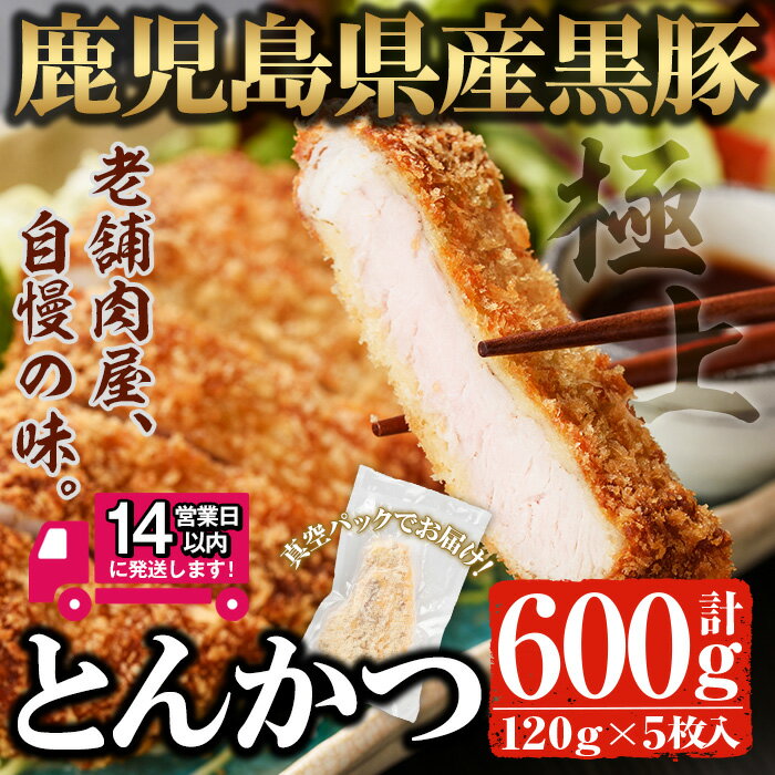 【ふるさと納税】<14営業日以内発送!>鹿児島県産 黒豚ロースとんかつセット(120g×5枚・計600g) 国産 鹿児島県産 黒豚 豚肉 ロース肉 お肉 とんか...