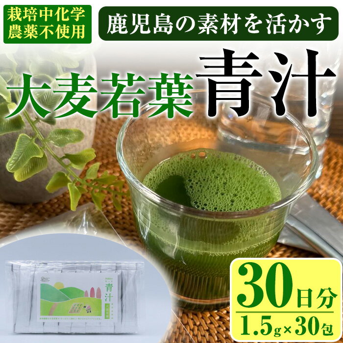 鹿児島県産 大麦若葉 茶農家が作った素材を活かす美味しい青汁 (1.5g×30包・計30日分) 国産 鹿児島県産 大麦若葉 栽培期間中農薬不使用 HACCP 青汁 スムージー しぜんのおかショップ [アグリおおすみ]