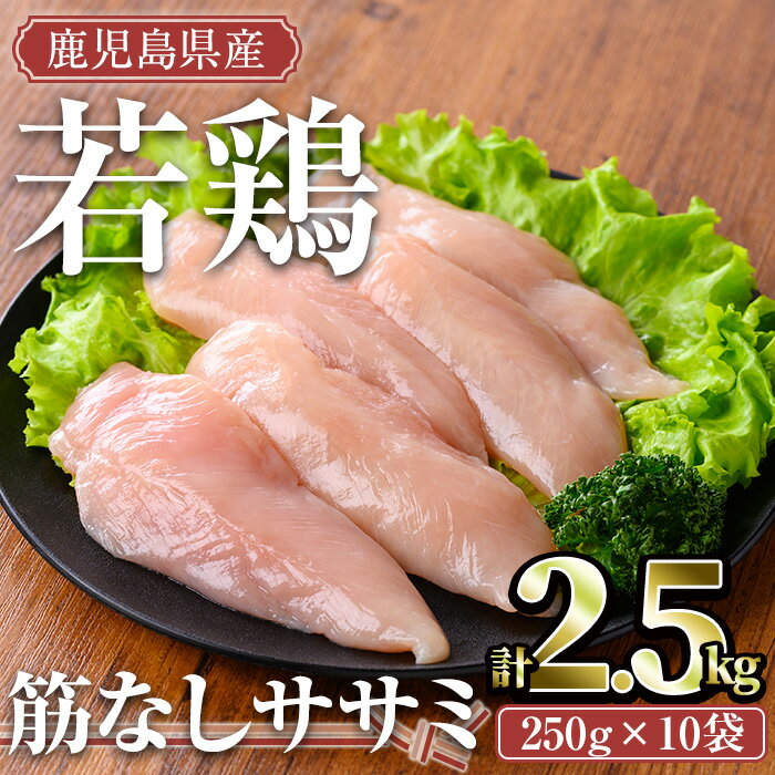 【ふるさと納税】鹿児島県産若鶏 筋なしササミ(計2.5kg・250g×10袋) 国産 鹿児島県産 小分け 冷凍 真空..