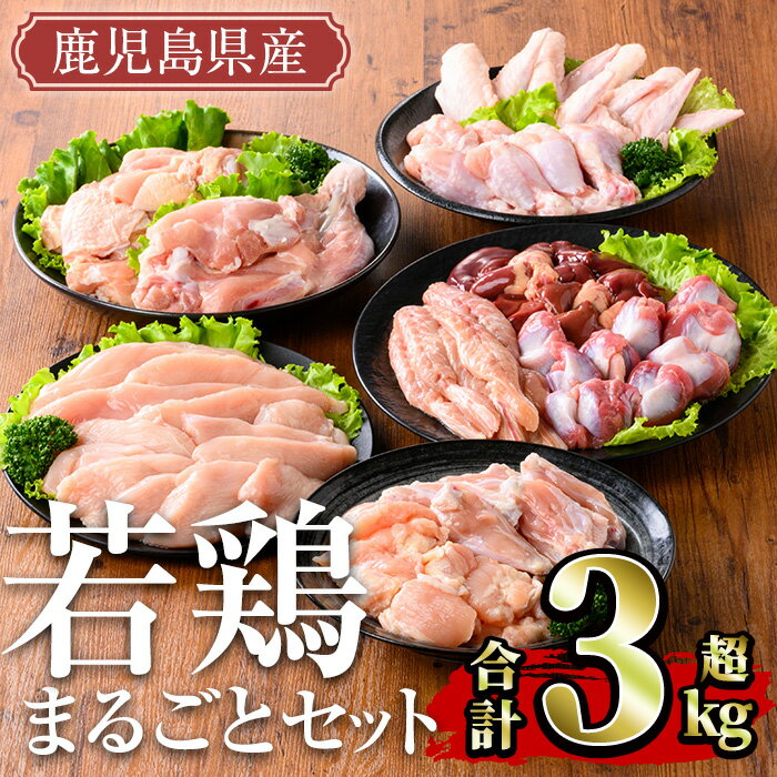 鹿児島県産 若鶏まるごとセット(計3.05kg) 国産 鹿児島県産 小分け 冷凍 真空パック 若鶏 鶏肉 鶏 肉 もも肉 モモ肉 むね肉 ムネ肉 ささみ ササミ 筋なし 砂肝 肝 手羽先 キチンリブ 手羽元 肩肉 小肉 骨付き セット 詰め合わせ[TRINITY]